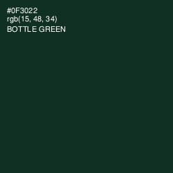 #0F3022 - Bottle Green Color Image